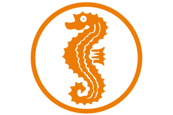 Frühschwimmer "Seepferdchen" Anfänger Schwimmkurs